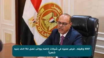 4007 وظيفة.. فرص مميزة في شركات خاصة برواتب تصل لـ10 آلاف جنيه شهرياً